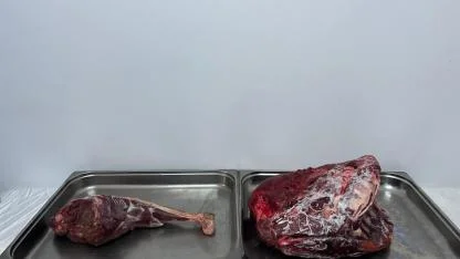 Karaman’da Yaban Keçisi Avlayanlara 954 Bin Lira Ceza Kesildi