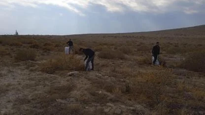 Tuz Çalısı Bitkisinin Gelişim İncelemeleri Yapıldı