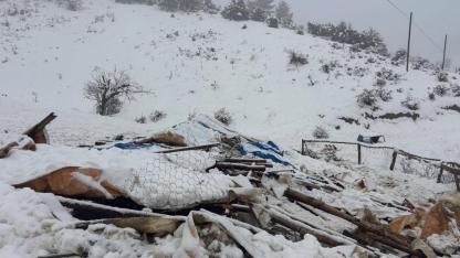 Başyayla’da Yoğun Kar Yağışında Hayvan Ağılı Çöktü