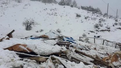 Başyayla’da Yoğun Kar Yağışında Hayvan Ağılı Çöktü