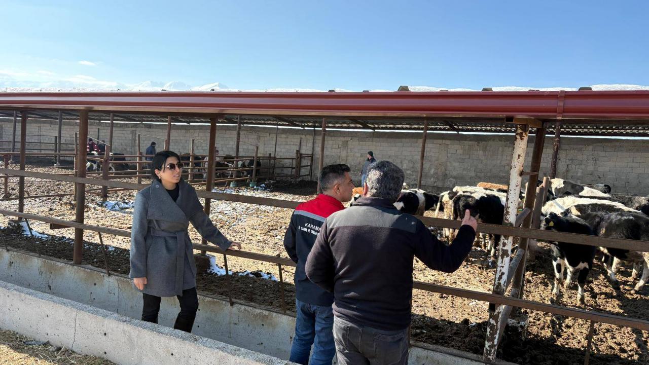 Karaman’da Hayvancılık Faaliyetlerine Yakın Takip