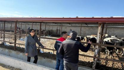 Karaman’da Hayvancılık Faaliyetlerine Yakın Takip