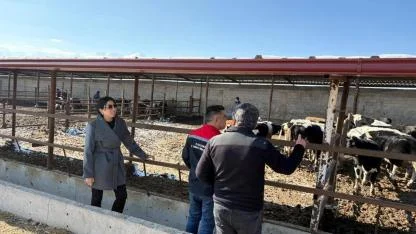 Karaman’da Hayvancılık Faaliyetlerine Yakın Takip