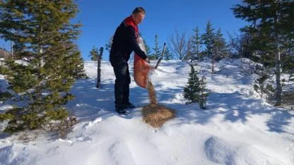 Karaman’da Yaban Hayvanları ve Kuşlar İçin Doğaya Yem Bırakıldı