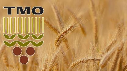 TMO Ocak Ayı Arpa Satışına Başladı