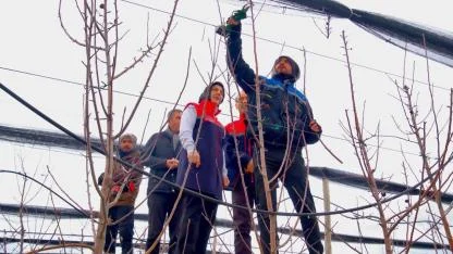 Geçen Yılki Donun İzleri Elma Bahçelerinde İnceleniyor