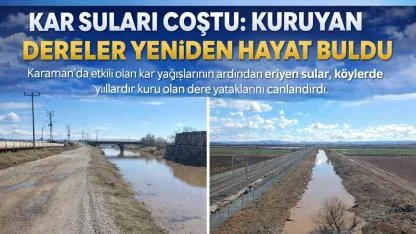 Kar Suları Coştu: Kuruyan Dereler Yeniden Hayat Buldu