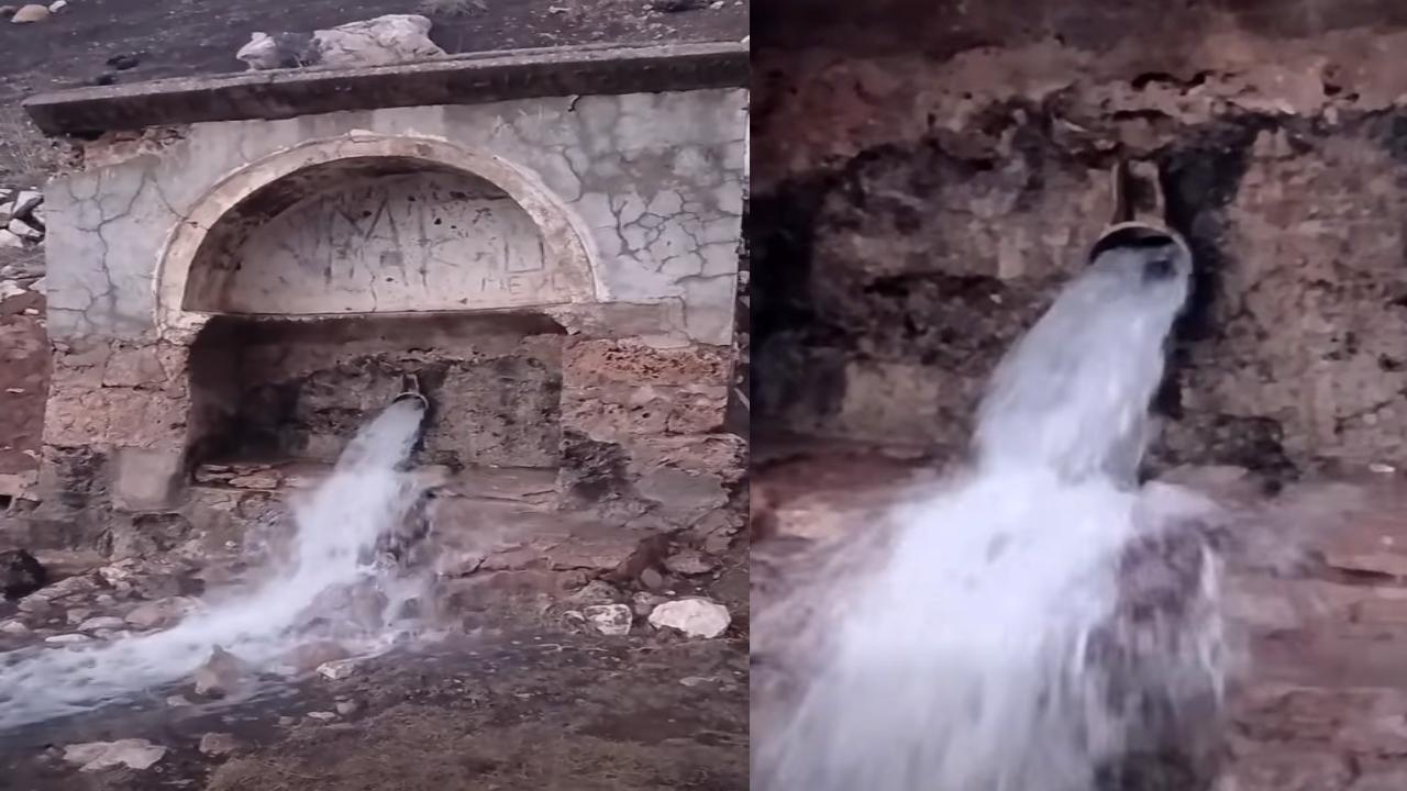 Karaman'da Kuraklığın Ardından Sevindiren Manzara! Yeniden Canlandı