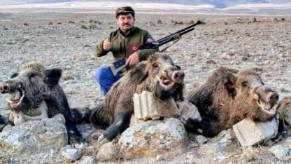 Karaman’da Yaban Domuzu ile Mücadelede Av Turizmi Dönemi Başladı