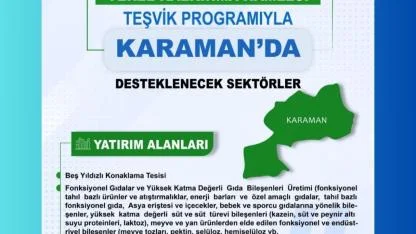 Yerel Kalkınma Hamlesi Teşvik Programı İle Karaman’da Stratejik Sektörler Desteklenecek