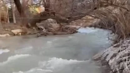 Yağışlar Sonrası Yeşildere Coştu, İbrala Barajı Dolmaya Başladı