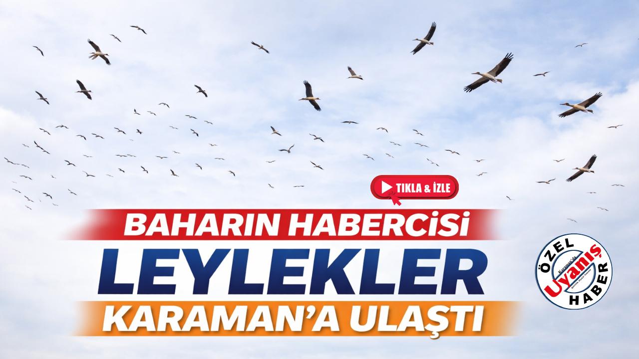 Baharın Habercisi Olan Leylekler, Karaman'a Ulaştı