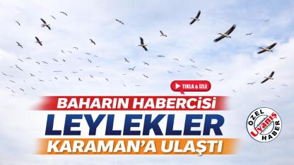 Baharın Habercisi Olan Leylekler, Karaman'a Ulaştı