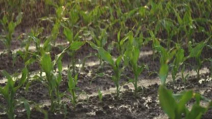 Başkan Erkoyuncu, Konya Ovası’nın Aldığı Yağışı Değerlendirdi