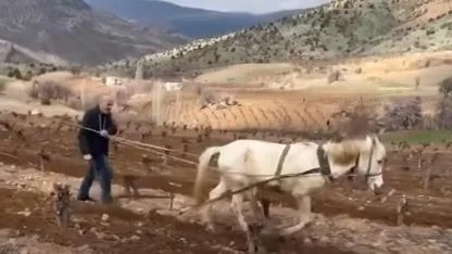 Karaman’da Kara Saban Geleneği Yaşatılıyor