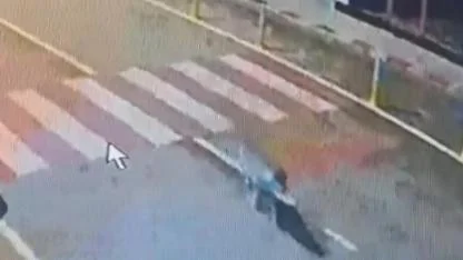 Karaman’da Mahalle Arasında Kurt İddiası Paniğe Neden Oldu