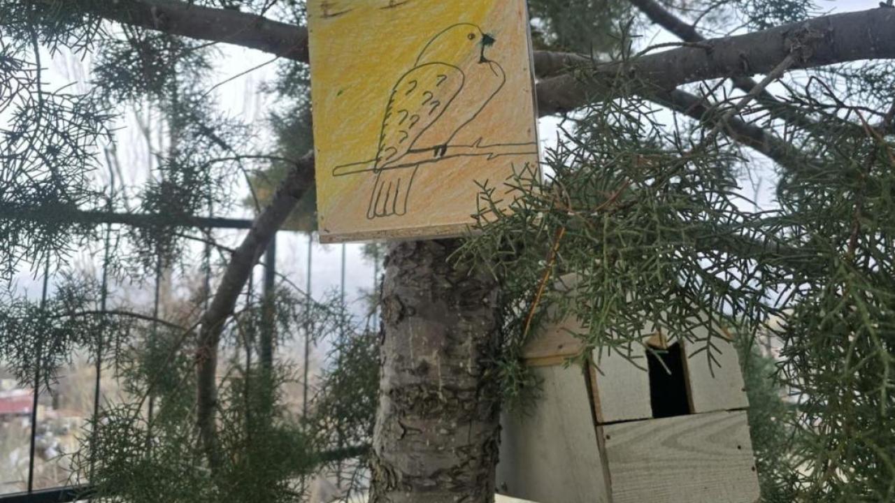 Öğrenciler Kuş Yuvası ve Kedi Evi Yaptı