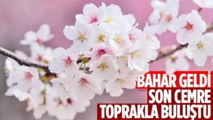Bahar Geldi: Son Cemre Toprakla Buluştu