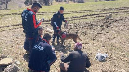 Karaman'da Kayıp Yaşlı Adam Jandarma Tarafından Bulundu