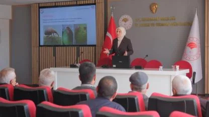 Zeytin Tarımı Konulu Eğitim Başladı