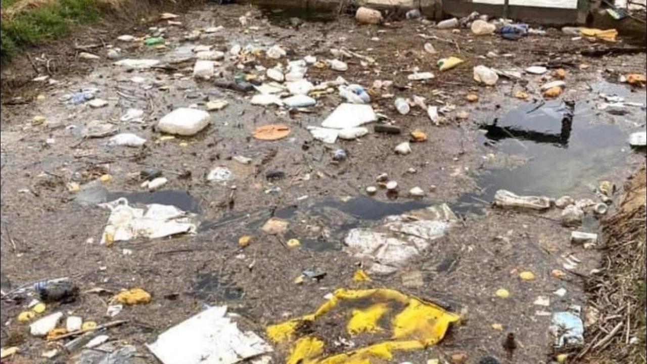 Ziraat Odası Başkanı Mehmet Bayram’dan Çiftçilere Çevre Duyarlılığı Çağrısı