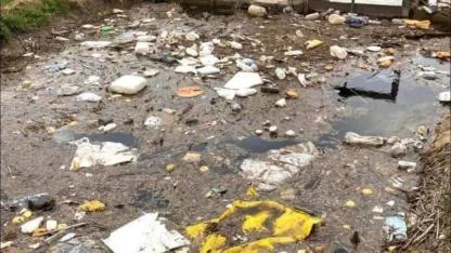 Ziraat Odası Başkanı Mehmet Bayram’dan Çiftçilere Çevre Duyarlılığı Çağrısı