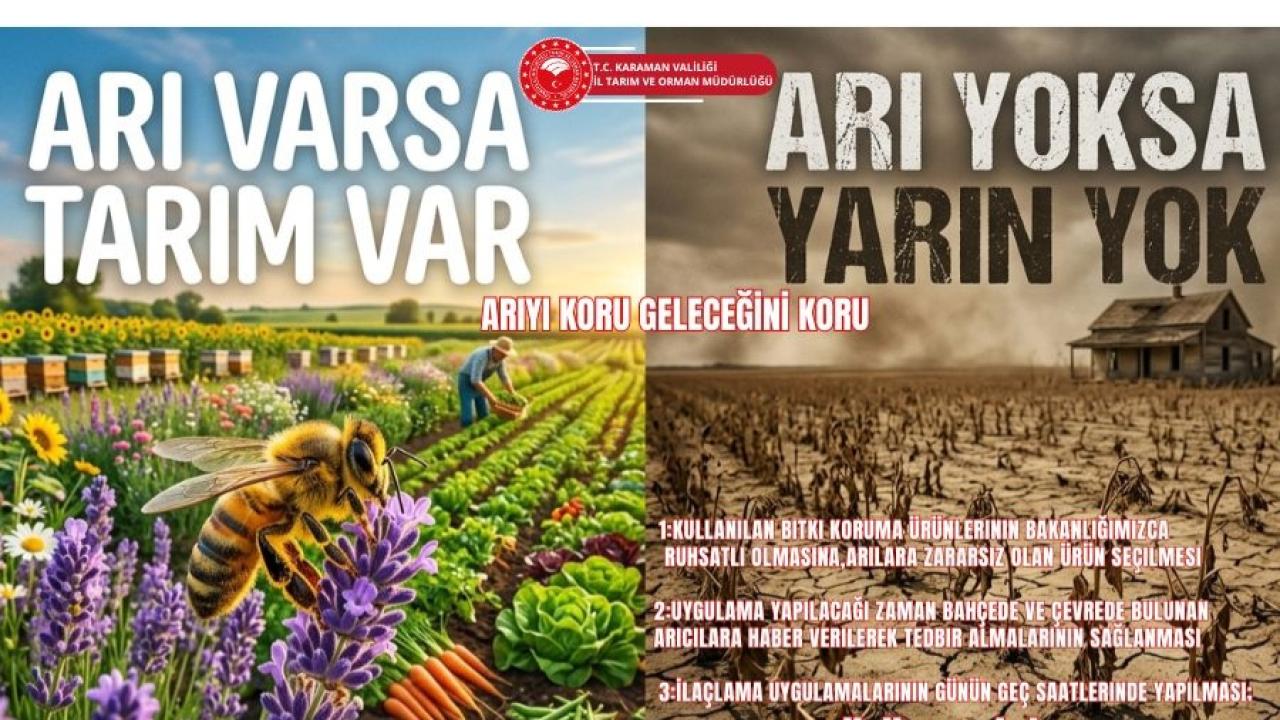 Arıları Korumak İçin İlaçlamada Kritik Uyarı