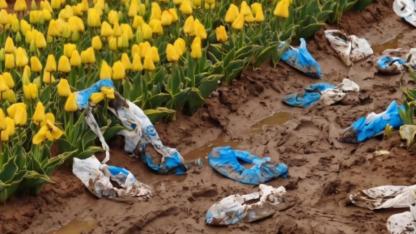 Atlas Lale Bahçesi’nden Ziyaretçilere Uyarı: “Ziyarete Kapatmak Zorunda Kalabiliriz”