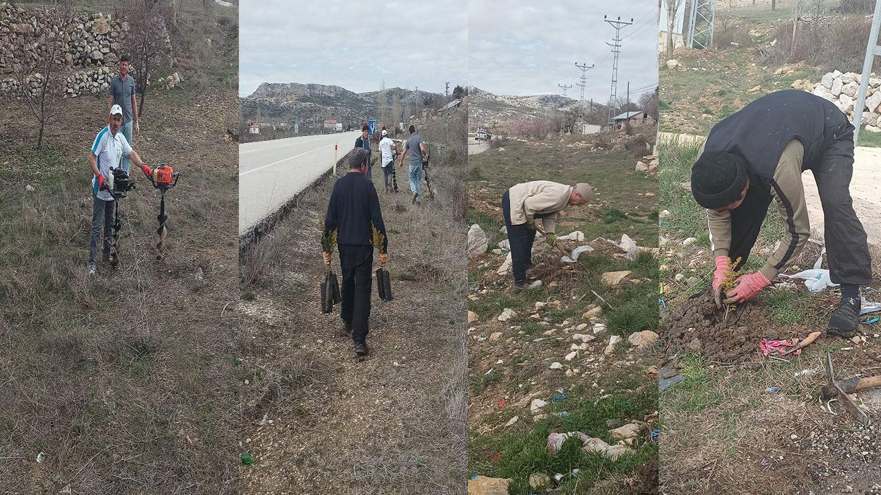 Avgan Yaylası'nı Ağaçlandırmaya Devam