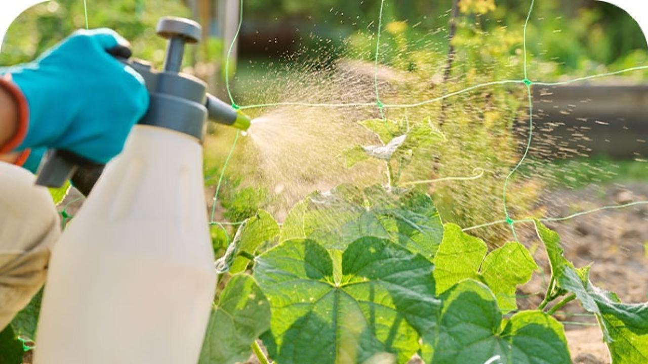 "B-REÇETE" Bilgilendirme Toplantısı Yapılacak