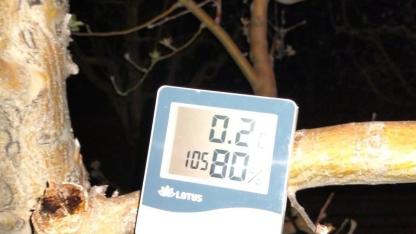 Karaman’ı don vurdu ama yıkmadı