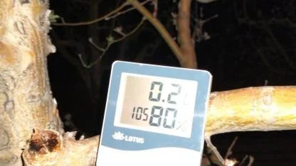 Karaman’ı don vurdu ama yıkmadı