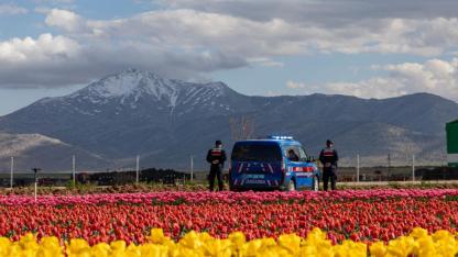 Karaman’da Lale Sezonu Tamamlandı: Jandarma Görev Başındaydı
