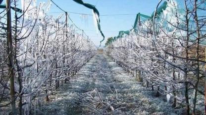 Karaman’da Meyve Üreticilerine Don Uyarısı