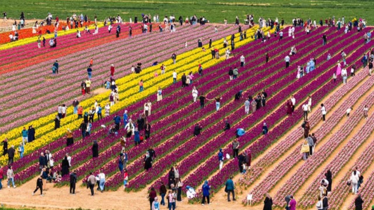 Karaman’daki Lale Bahçesi Sezonu 371 Bin Ziyaretçiyle Kapattı
