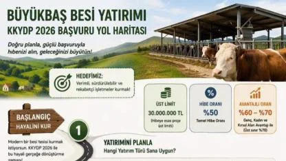 Kırsal Kalkınma Yatırım Programı 2026 Başvuru Dönemi Uygulama Rehberi Yayımlandı
