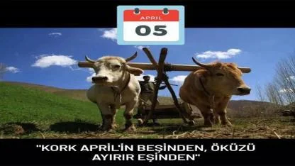 “Kork Aprilin Beşinden, Öküzü Ayırır Eşinden”