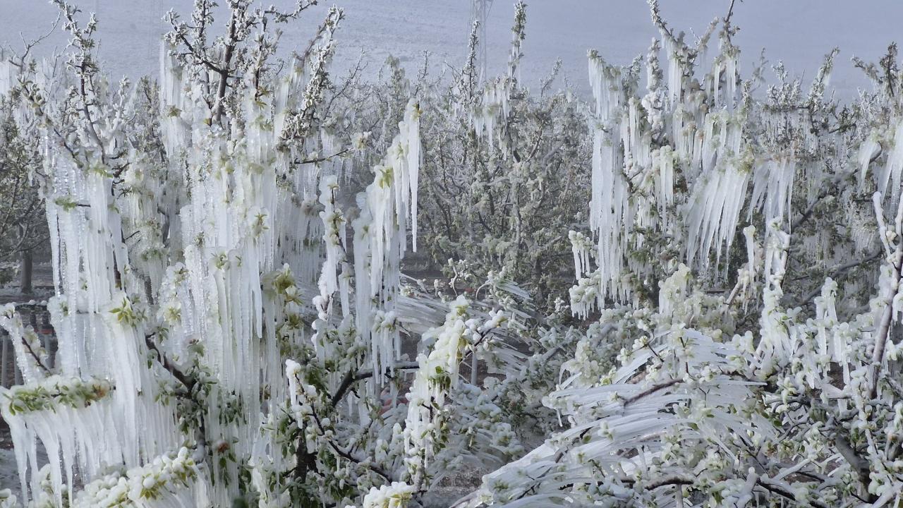 Meteorolojiden Karaman İçin Zirai Don Uyarısı