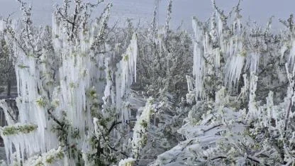 Meteorolojiden Karaman İçin Zirai Don Uyarısı