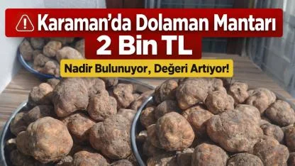 Toplayan Kazanıyor! Karaman’da Dolaman Mantarının Kilosu 2 Bin TL