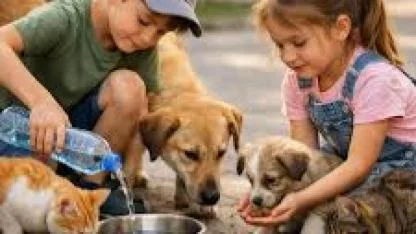 Türkiye “Yaşam Hakkı” İçin Meydanlara İniyor: Karaman’da Buluşma Noktası Atatürk Parkı