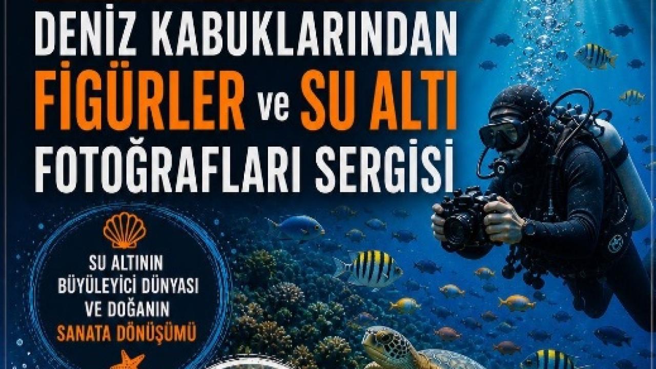 Deniz Kabuklarından Sanata Yolculuk: Sergi Kapılarını Açıyor