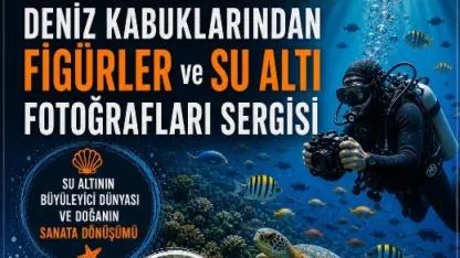Deniz Kabuklarından Sanata Yolculuk: Sergi Kapılarını Açıyor