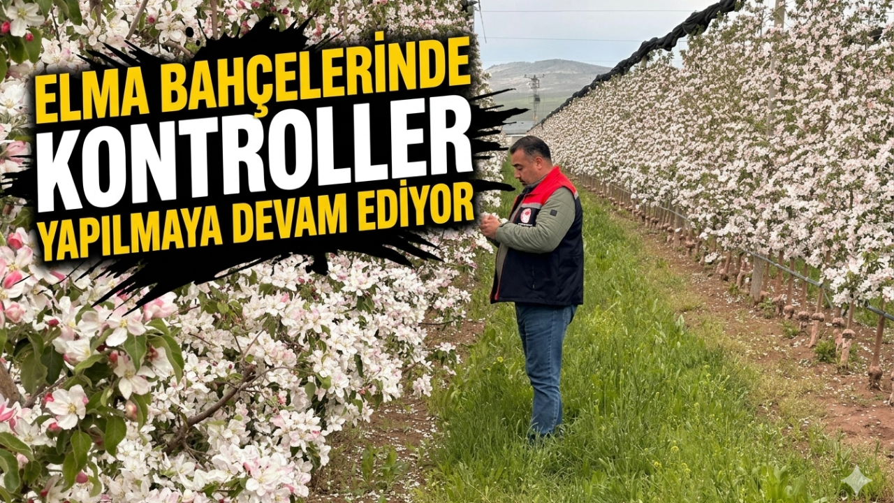 Elma Bahçelerinde Kontroller Yapılmaya Devam Ediyor
