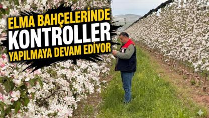 Elma Bahçelerinde Kontroller Yapılmaya Devam Ediyor