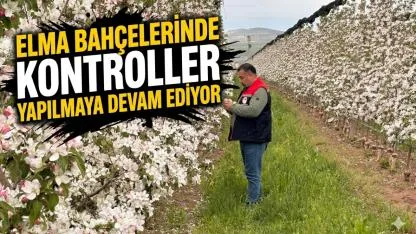 Elma Bahçelerinde Kontroller Yapılmaya Devam Ediyor