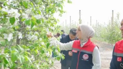 Karaman’da Elma Bahçelerinde Verim Hamlesi: Modern Yöntemlerle Rekolte Artışı Bekleniyor