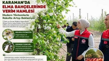 Karaman’da Elma Bahçelerinde Verim Hamlesi: Modern Yöntemlerle Rekolte Artışı Bekleniyor