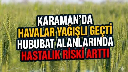 Karaman’da Havalar Yağışlı Geçti Hububat Alanlarında Hastalık Riski Arttı