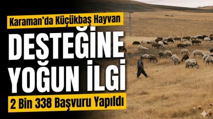 Karaman’da Küçükbaş Hayvan Desteğine Yoğun İlgi